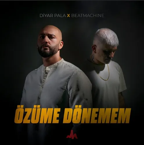 Özüme Dönemem