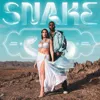 Snake (feat. Nora Fatehi)