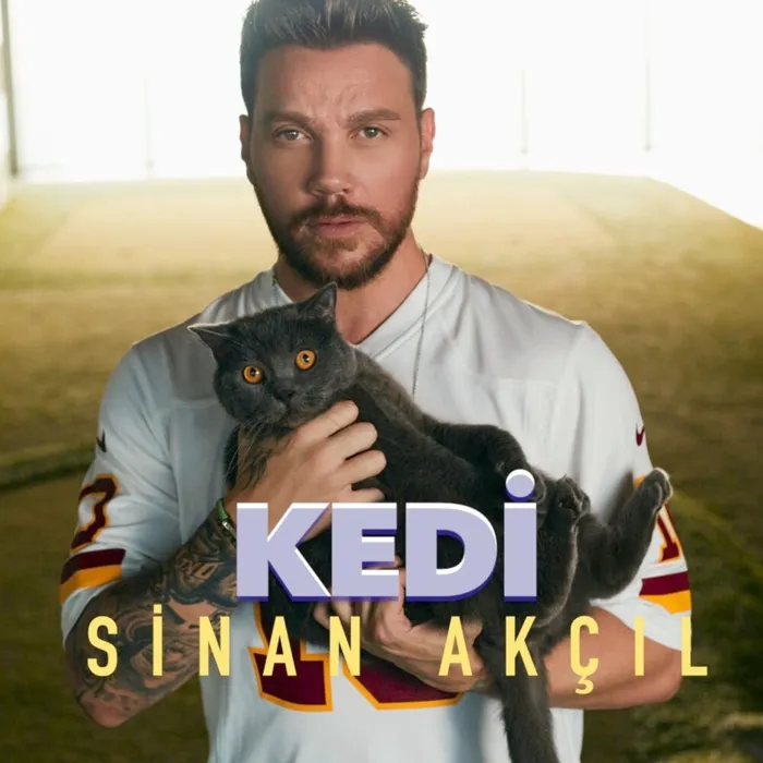 Kedi