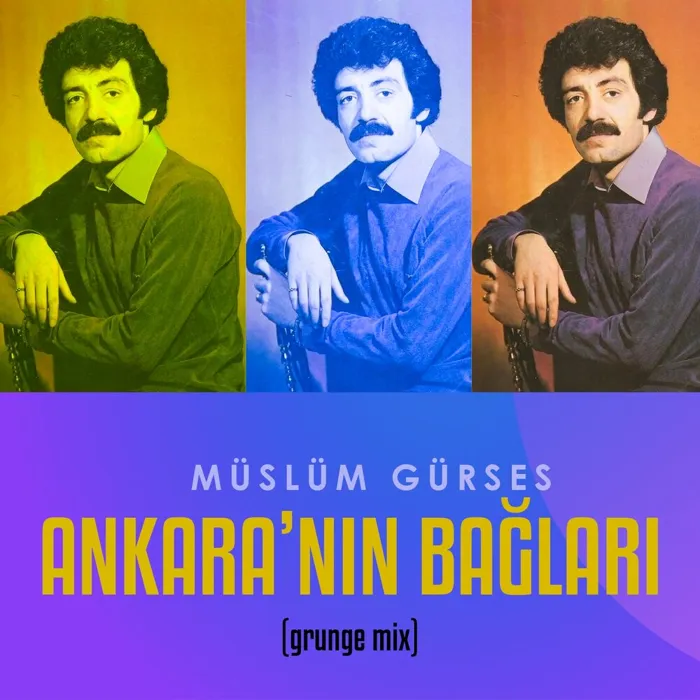 Ankara'nın Bağları