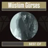 Dost Çukuru