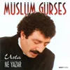 Ne Yazar