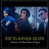 Ko'zlarida olov