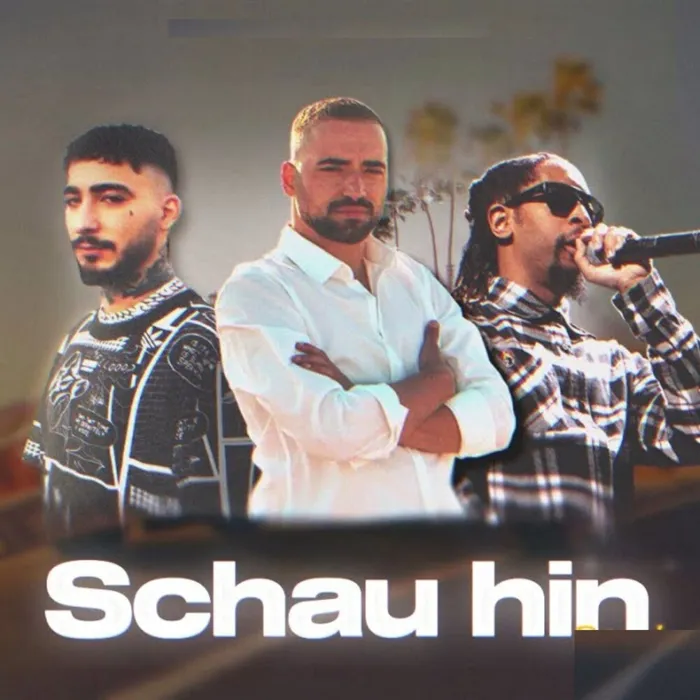 Schau Hin