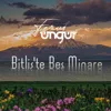 Bitlis'te Beş Minare