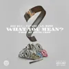 What You Mean (feat. Future & Soulja Boy)