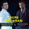 Bore bedoram