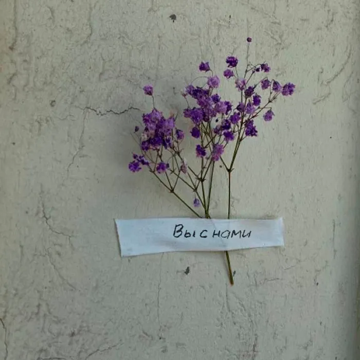 Вы с нами