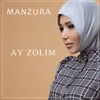 Ay zolim