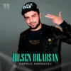 Bilsen Bilarsan