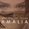 Gözlerim seni gözlär
