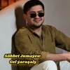 Gel ýaraşaly