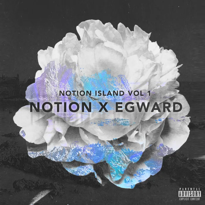 Notion Island, Vol. 1