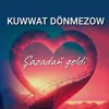 Şazadaň geldi