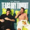 Tears Dry Tonight (feat. James Blunt)