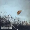 Kokun İmtihan
