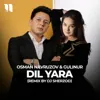 Dil yara