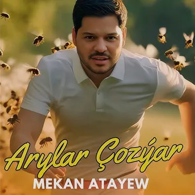Arylar çozýar