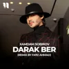 Darak ber