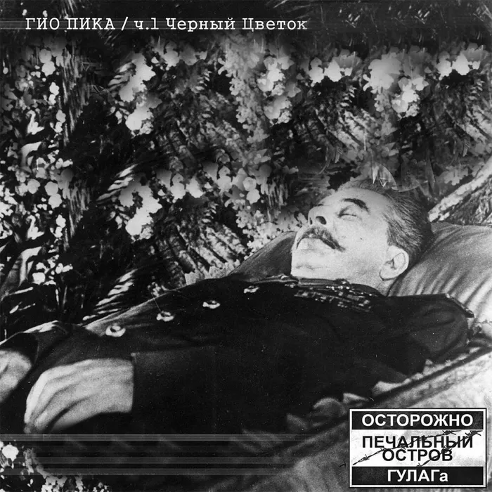 Чёрный цветок. Часть 1
