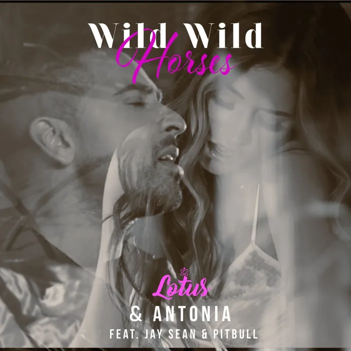 Wild Wild Horses