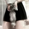 Missing Grey Cat