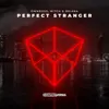 Perfect Stranger