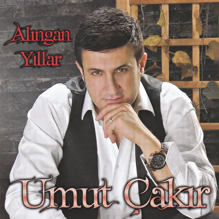 Alıngan Yıllar (Sarıl Bana)