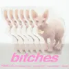 bitches