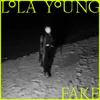 FAKE