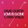 Love Is Gone (Fuzzy Hair Rmx)