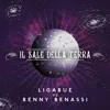 Il sale della terra (Ligabue vs. Benny Benassi)