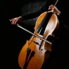 If I Be Wrong (Wednesday Funeral Scene Cello Rendition from "The Addams Family"]