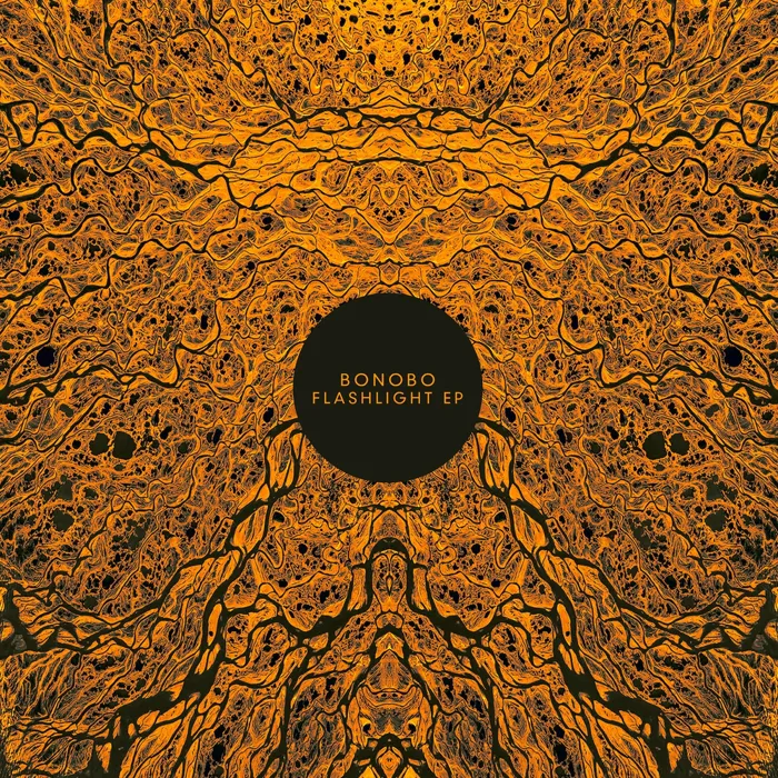 Flashlight EP