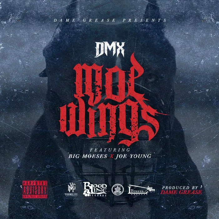 Moe Wings - Single