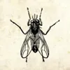 The Fly Classic Mix