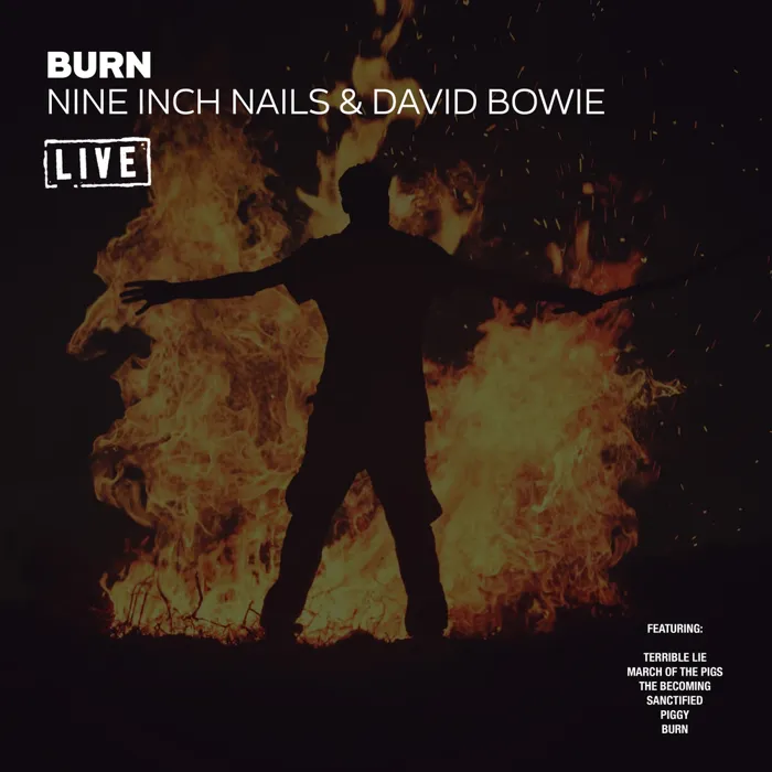 Burn