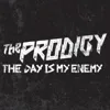 The Day is My Enemy