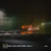 Mind (Slowed)