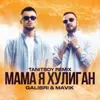 Мама я хулиган