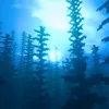 c418