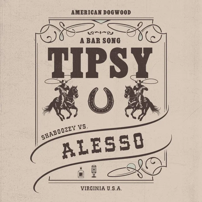 A Bar Song (Tipsy)