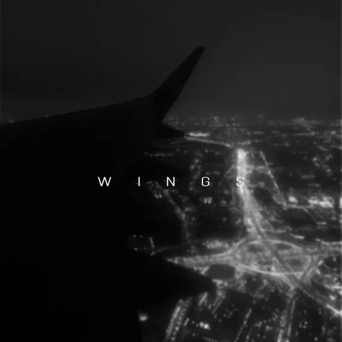 Wings