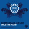 Under The Water