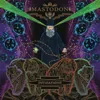 Divinations