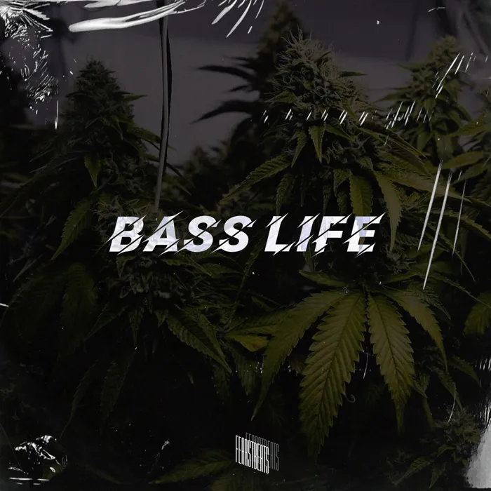 Bass Life