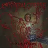 Destroyed Without a Trace