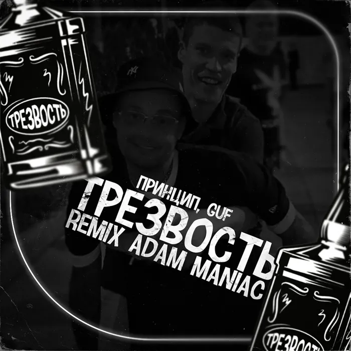 Трезвость