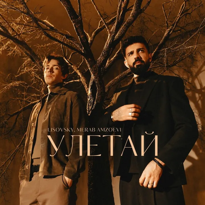 Улетай