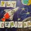 Fly